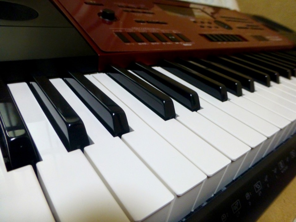 Gia sư đàn Organ tại nhà Vũng Tàu