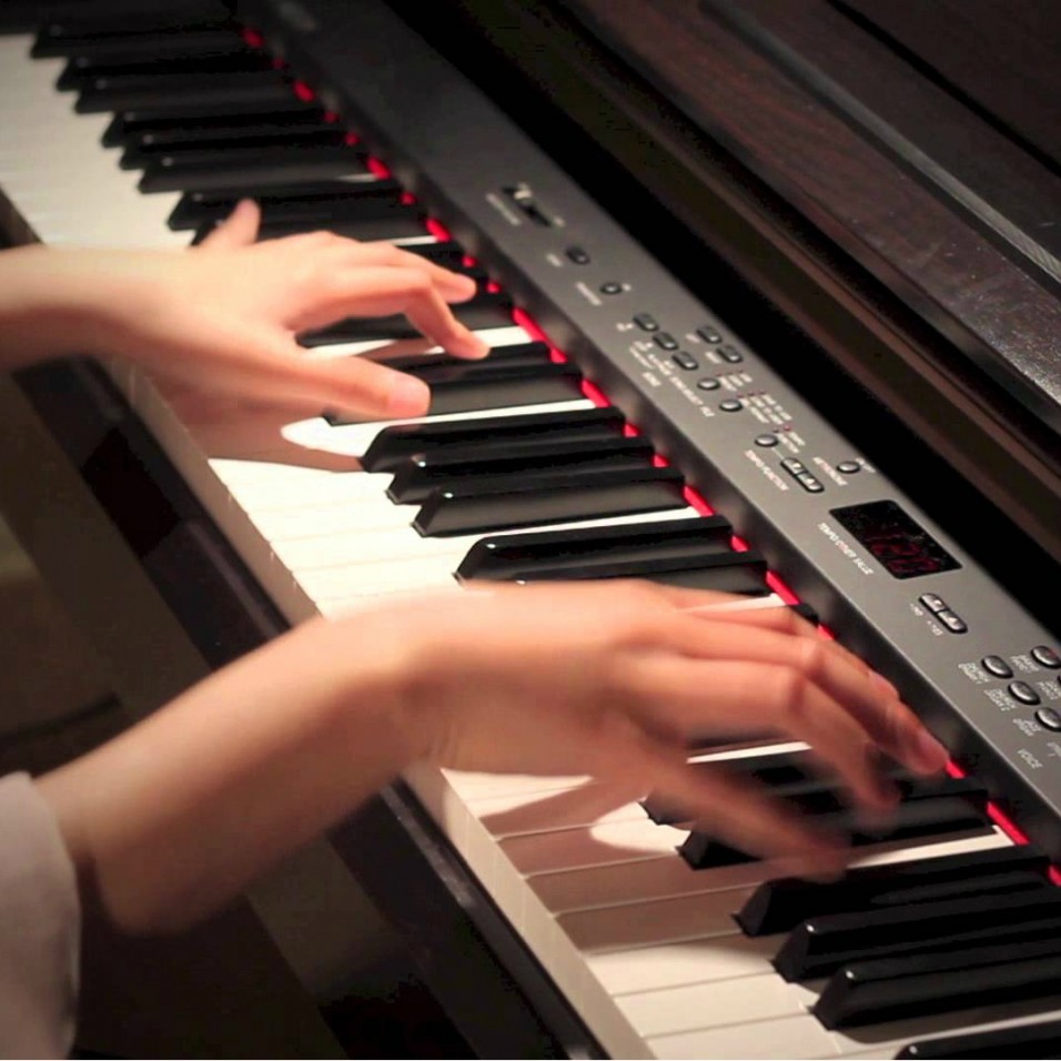 Gia sư đàn Organ quận 6