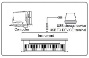 Lỗi Organ không nhận dữ liệu từ USB phải làm sao