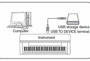 Lỗi Organ không nhận dữ liệu từ USB phải làm sao?